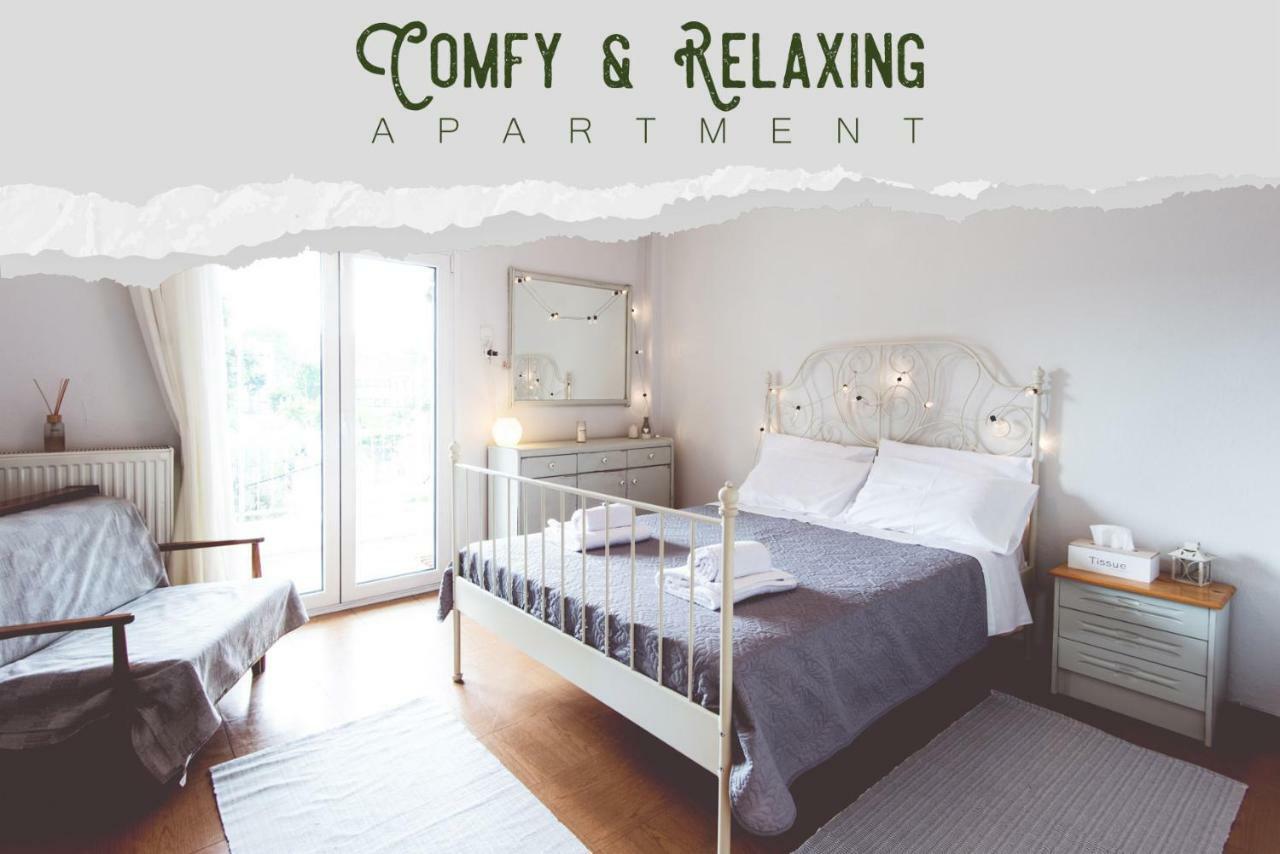 Comfy & Relaxing Apartment 塞萨洛尼基 外观 照片